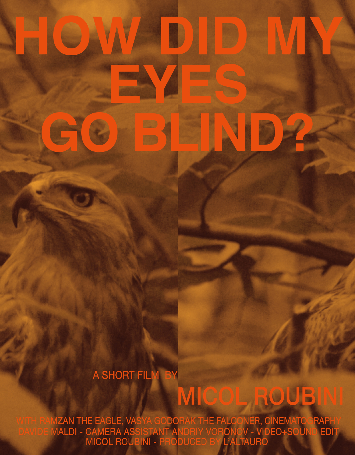 POSTER_HOWDIDMYEYESGOBLIND_presskit-1